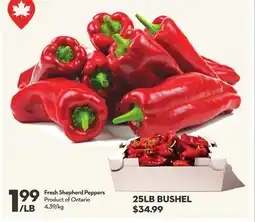Longo's Fresh Shepherd Peppers offer