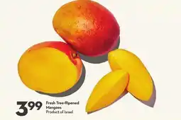 Longo's Fresh Tree-Ripened Mangoes offer
