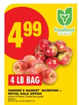 No Frills FARMER'S MARKET MCINTOSH or ROYAL GALA APPLES offer
