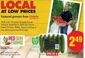 No Frills FARMER'S MARKET MINI CUCUMBERS, PKG OF 6 offer
