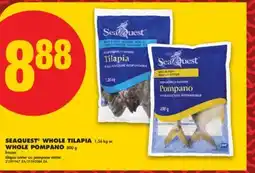 No Frills SEAQUEST WHOLE TILAPIA, 1.36 kg or WHOLE POMPANO, 800 g offer