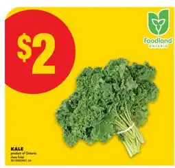 No Frills KALE offer