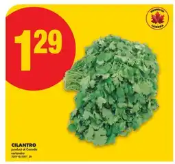 No Frills CILANTRO offer