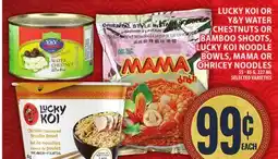Food Basics LUCKY KOI OR Y&Y WATER CHESTNUTS OR BAMBOO SHOOTS, LUCKY KOI NOODLE BOWLS, MAMA OR OHRICEY NOODLES offer