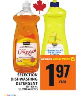 Food Basics SELECTION DISHWASHING DETERGENT offer