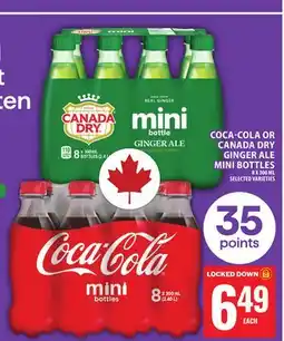 Food Basics COCA-COLA OR CANADA DRY GINGER ALE MINI BOTTLES offer