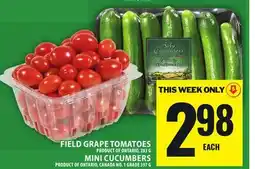 Food Basics FIELD GRAPE TOMATOES OR MINI CUCUMBERS offer