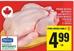 Food Basics PRIME RAISED WITHOUT ANTIBIOTICS FRESH WHOLE CHICKEN offer