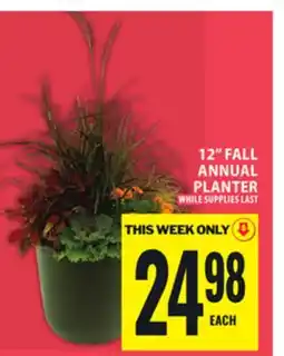 Food Basics 12 FALL ANNUAL PLANTER offer