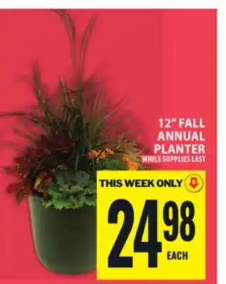 Food Basics 12 FALL ANNUAL PLANTER offer