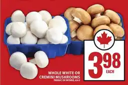 Food Basics WHOLE WHITE OR CREMINI MUSHROOMS offer