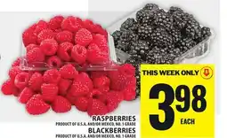 Food Basics RASPBERRIES OR BLACKBERRIES offer