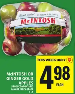 Food Basics McINTOSH OR GINGER GOLD APPLES offer