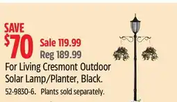 Canadian Tire For Living Cresmont Outdoor Solar Lamp/Planter, Black offer