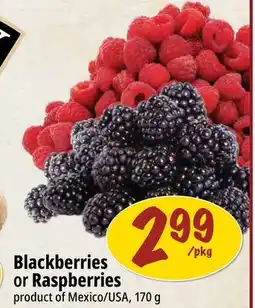 Farm Boy Blackberries or Raspberries offer