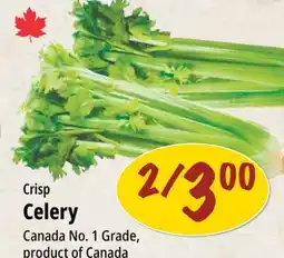 Farm Boy Crisp Celery offer