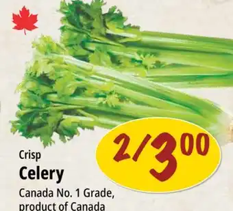 Farm Boy Crisp Celery offer