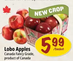 Farm Boy Lobo Apples offer