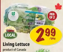Farm Boy Living Lettuce offer