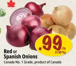Farm Boy Red or Spanish Onions offer