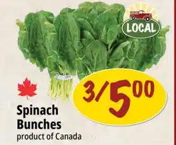 Farm Boy Spinach Bunches offer
