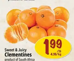 Farm Boy Sweet & Juicy Clementines offer