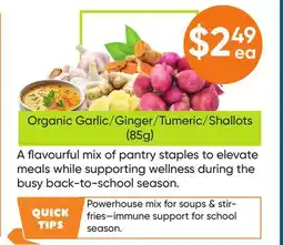 Healthy Planet Organic Garlic/Ginger/Tumeric/shallots(85g) offer