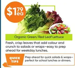 Healthy Planet Organic Green/Red Leaf Lettuce offer