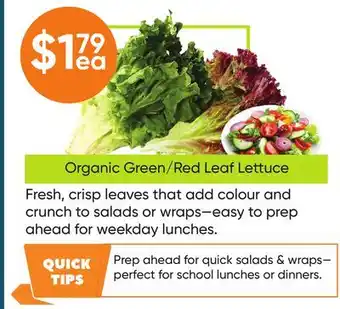 Healthy Planet Organic Green/Red Leaf Lettuce offer