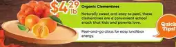 Healthy Planet Organic Clementines offer
