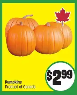 Chalo FreshCo Pumpkins Product of Canada offer