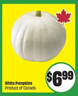 Chalo FreshCo White Pumpkins Product of Canada offer