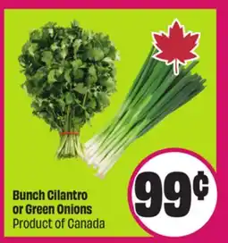 Chalo FreshCo Bunch Cilantro or Green Onions Product of Canada offer