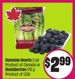 Chalo FreshCo Romaine Hearts 3 pk Product of Canada or Blackberries 170 g Product of USA offer