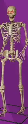 RONA LED decorative poseable skeleton offer