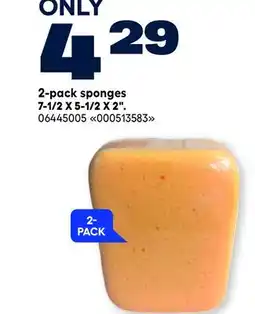 RONA 2-pack sponges 7-1/2 X 5-1/2 X 2 offer
