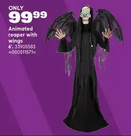 RONA Animated reaper with wings 6' offer
