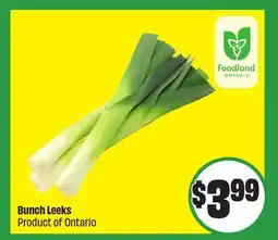 FreshCo Bunch Leeks Product Of Ontario offer