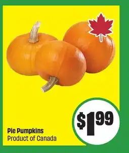 FreshCo Pie Pumpkins Product of Canada offer