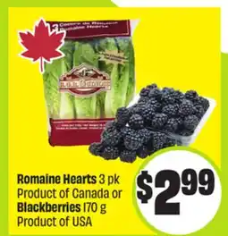 FreshCo Romaine Hearts 3 pk product of Canada or Blackberries 170 g Product or USA offer