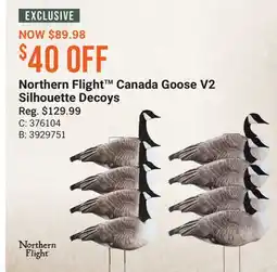 Cabela's Northern Flight Canada Goose V2 Silhouette Decoys offer