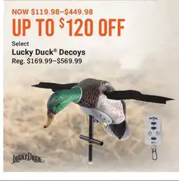 Cabela's Select Lucky Duck Decoys offer