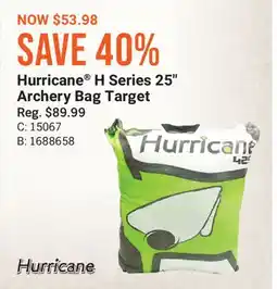 Cabela's Hurricane H Series 25 Archery Bag Target offer
