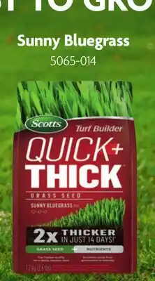 Home Hardware Quick+Thick Grass Seed - Sunny Bluegrass offer