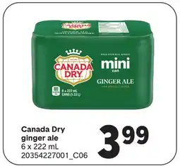 Wholesale Club GINGER ALE, 6 x 222 mL offer