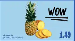 Wholesale Club PINEAPPLE offer