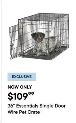 Petvalu 36 Essentials Single Door Wire Pet Crate offer