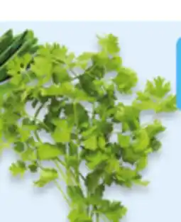 Walmart Cilantro offer