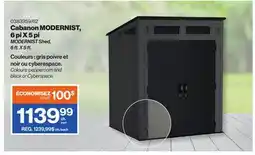Patrick Morin MODERNIST Shed, 6 ft. X 5 ft offer