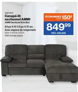 Patrick Morin AMMI Sectional Sofa Bed offer